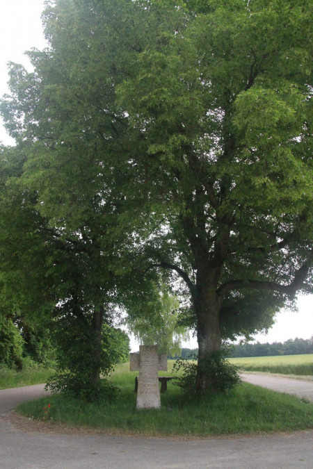 Steinernes Kreuz, Hagenau